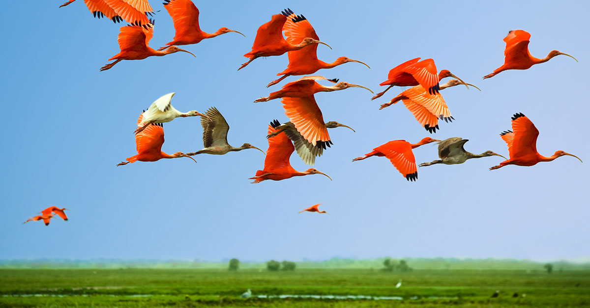 How to Migrate to Google Analytics 4